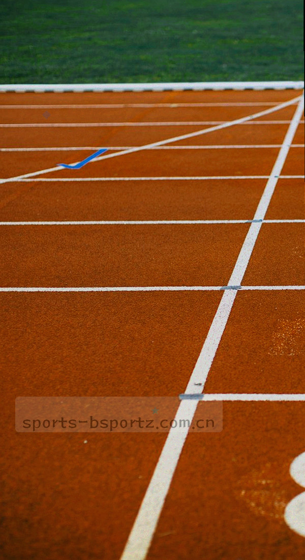 手机屏幕展示BSPORTS V4板块，赛程档案界面